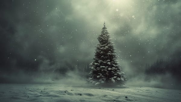 Christmas tree standing alone in a snow storm